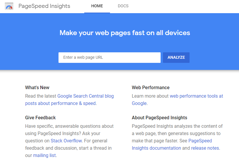 Google PageSpeed Insights Homepage
